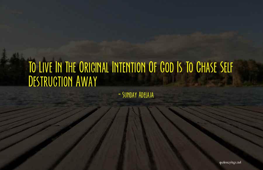 Hoink Quotes By Sunday Adelaja