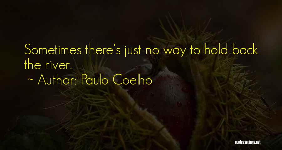 Hold Back The River Quotes By Paulo Coelho