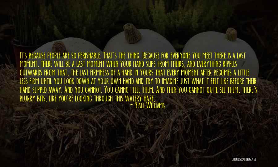 Hold Firm Quotes By Niall Williams Hold Firm Quotes By Niall Williams