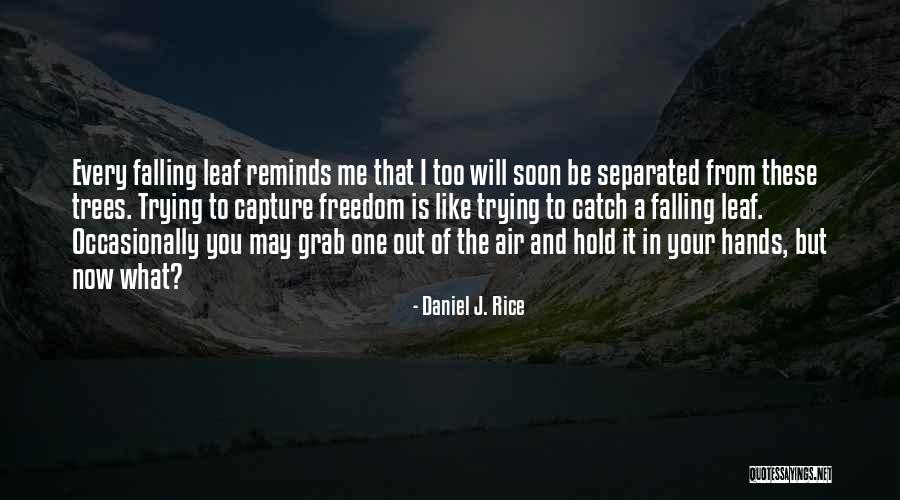 Hold Hands Quotes By Daniel J. Rice Hold Hands Quotes By Daniel J. Rice