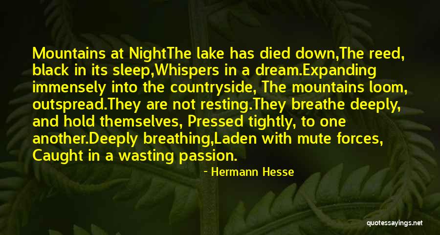 Hold Her Tightly Quotes By Hermann Hesse Hold Her Tightly Quotes By Hermann Hesse