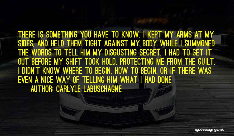 Hold It Against Me Quotes By Carlyle Labuschagne