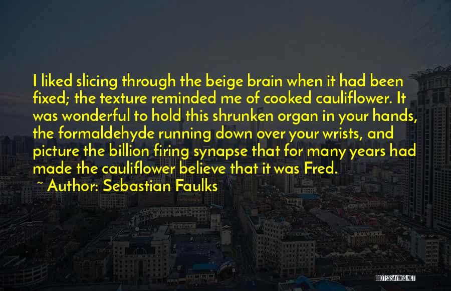 Hold It Down For Me Quotes By Sebastian Faulks