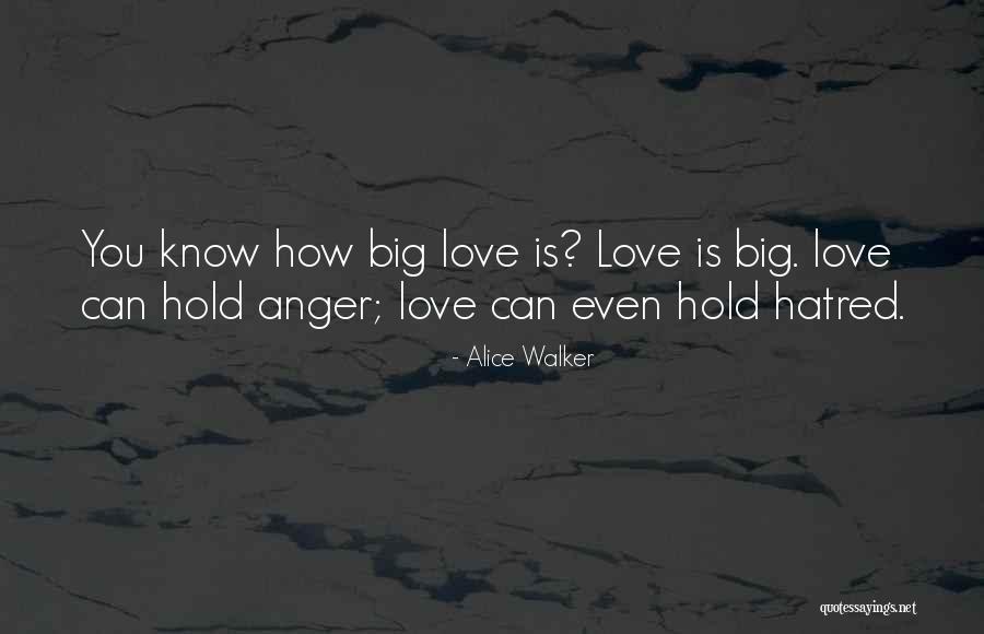 Hold Onto Anger Quotes By Alice Walker Hold Onto Anger Quotes By Alice Walker