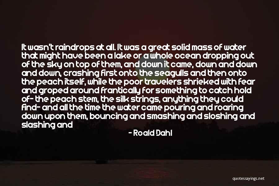 Hold Onto Something Quotes By Roald Dahl