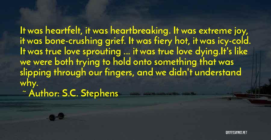 Hold Onto Something Quotes By S.C. Stephens