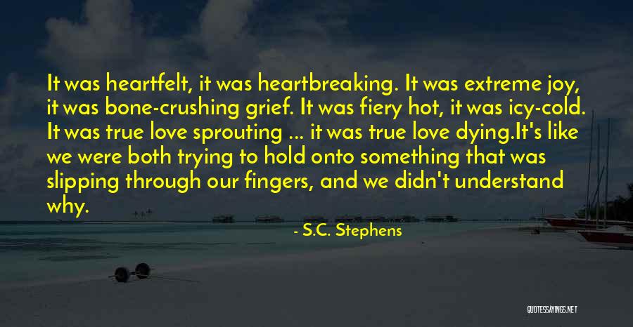 Hold Onto Something Quotes By S.C. Stephens