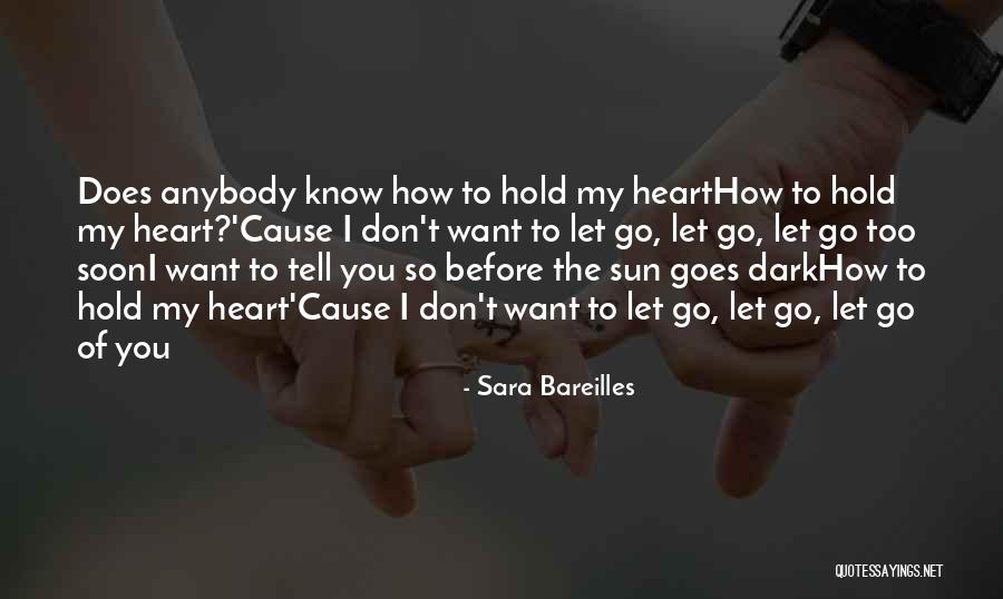 Hold The Dark Quotes By Sara Bareilles Hold The Dark Quotes By Sara Bareilles