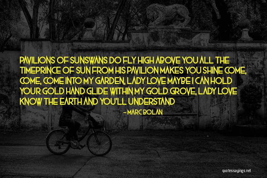 Hold The Hand Quotes By Marc Bolan