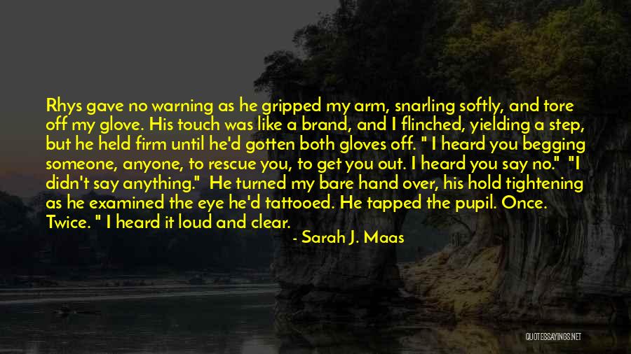 Hold The Hand Quotes By Sarah J. Maas