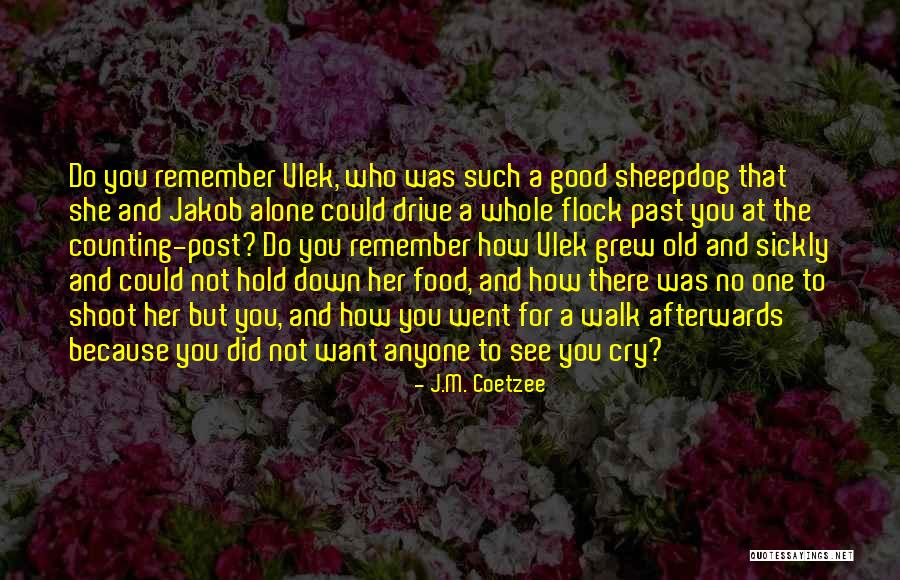 Hold You Down Quotes By J.M. Coetzee Hold You Down Quotes By J.M. Coetzee