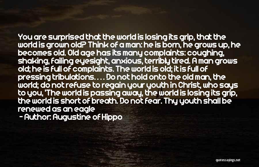 Hold Your Breath Quotes By Augustine Of Hippo