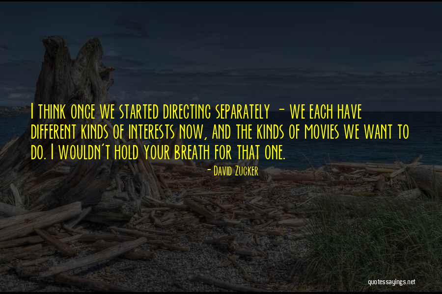 Hold Your Breath Quotes By David Zucker