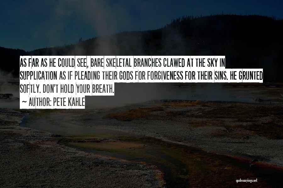 Hold Your Breath Quotes By Pete Kahle