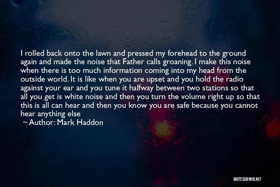 Hold Your Head Quotes By Mark Haddon