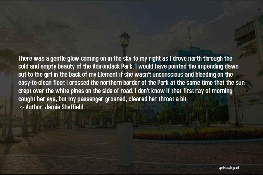 Hold Your Head Up Girl Quotes By Jamie Sheffield