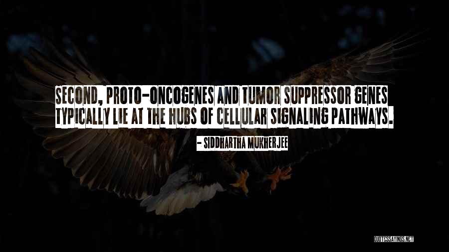 Holden Caulfield Swearing Quotes By Siddhartha Mukherjee Holden Caulfield Swearing Quotes By Siddhartha Mukherjee