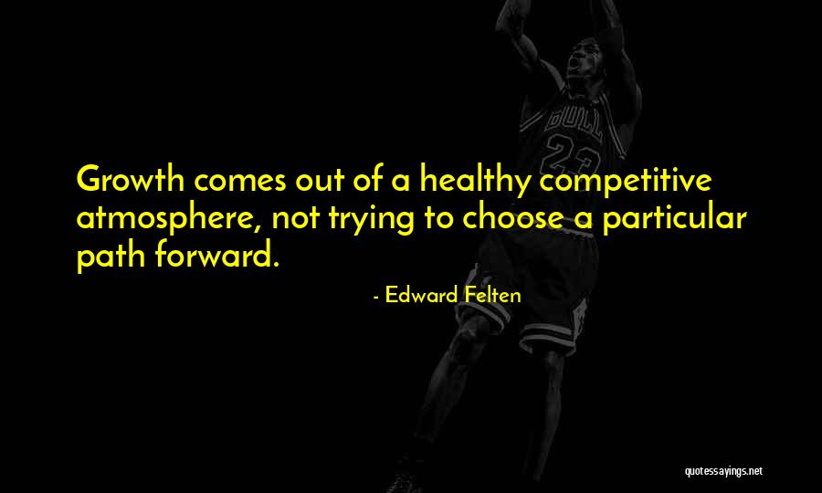 Holderbeere Quotes By Edward Felten Holderbeere Quotes By Edward Felten