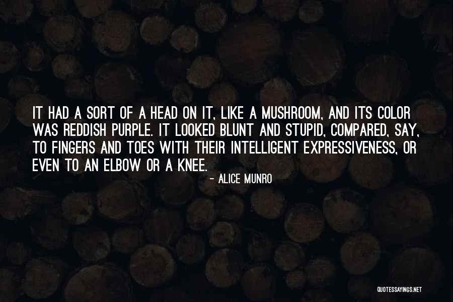 Holderman Indians Quotes By Alice Munro Holderman Indians Quotes By Alice Munro