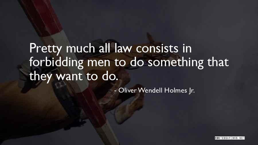 Holdfast Recovery Quotes By Oliver Wendell Holmes Jr. Holdfast Recovery Quotes By Oliver Wendell Holmes Jr.