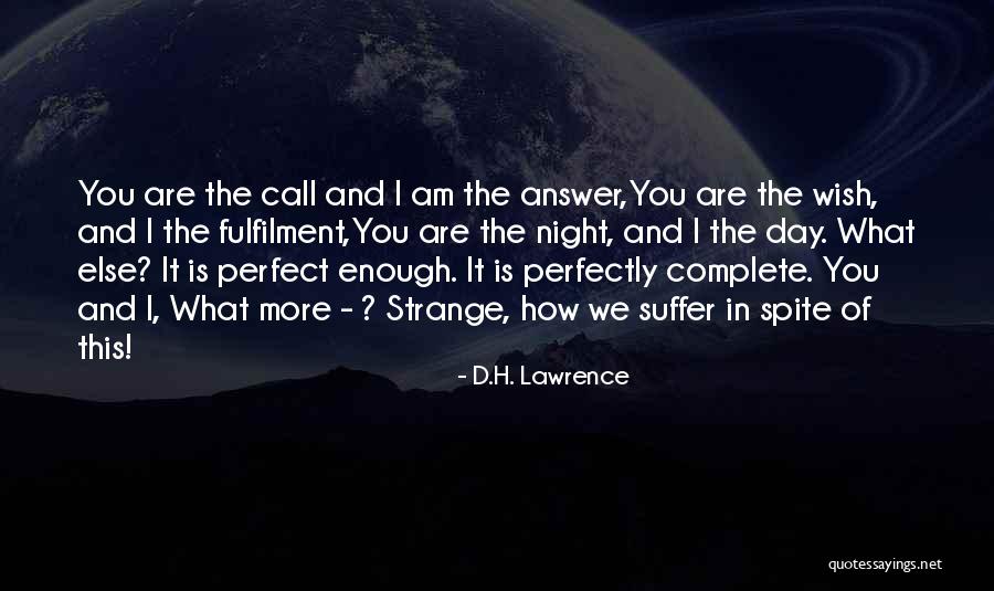 Holding A Meds Quotes By D.H. Lawrence Holding A Meds Quotes By D.H. Lawrence