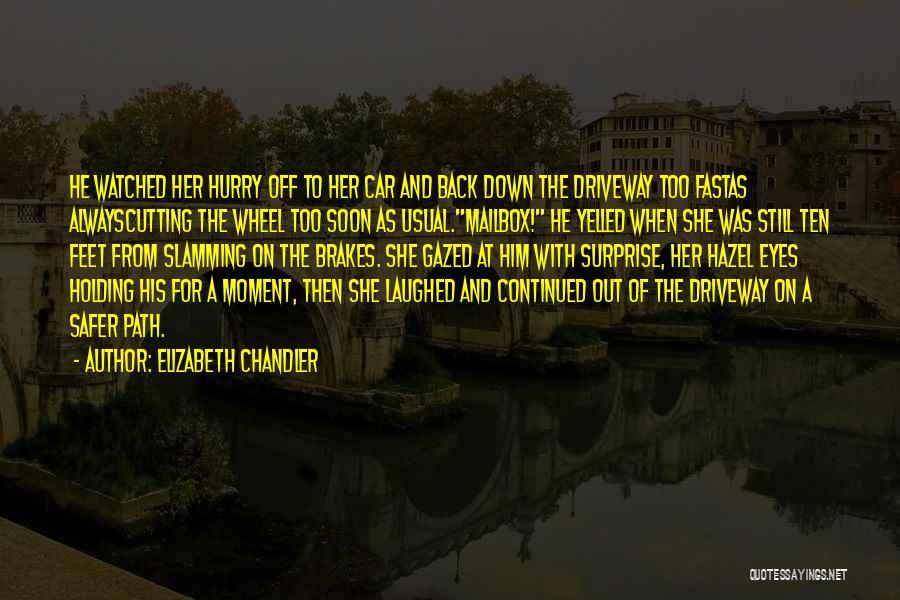 Holding Him Down Quotes By Elizabeth Chandler