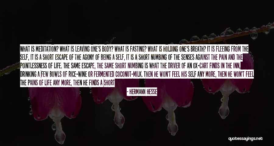 Holding In Pain Quotes By Hermann Hesse Holding In Pain Quotes By Hermann Hesse
