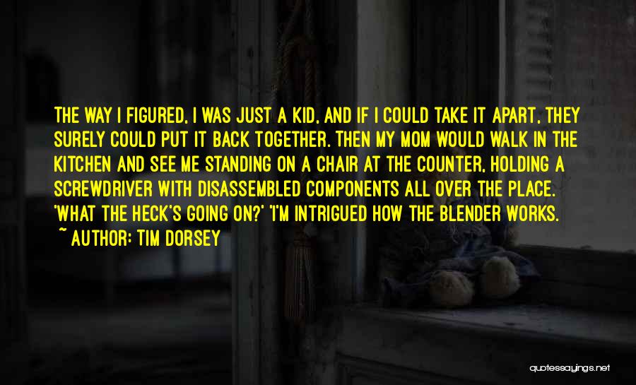 Holding It All Together Quotes By Tim Dorsey