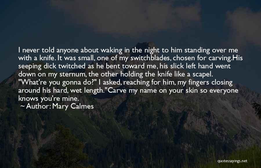 Holding It Down Quotes By Mary Calmes