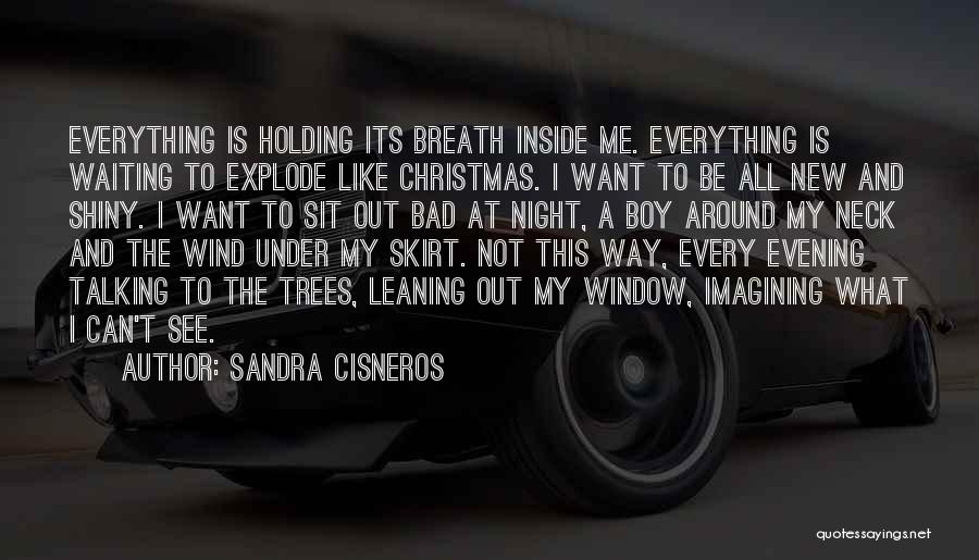 Holding My Breath Quotes By Sandra Cisneros
