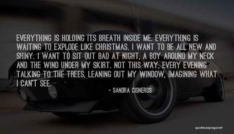 Holding My Breath Quotes By Sandra Cisneros