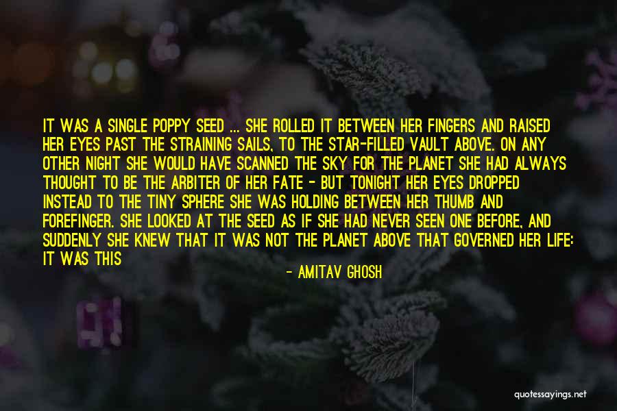 Holding On The Past Quotes By Amitav Ghosh Holding On The Past Quotes By Amitav Ghosh