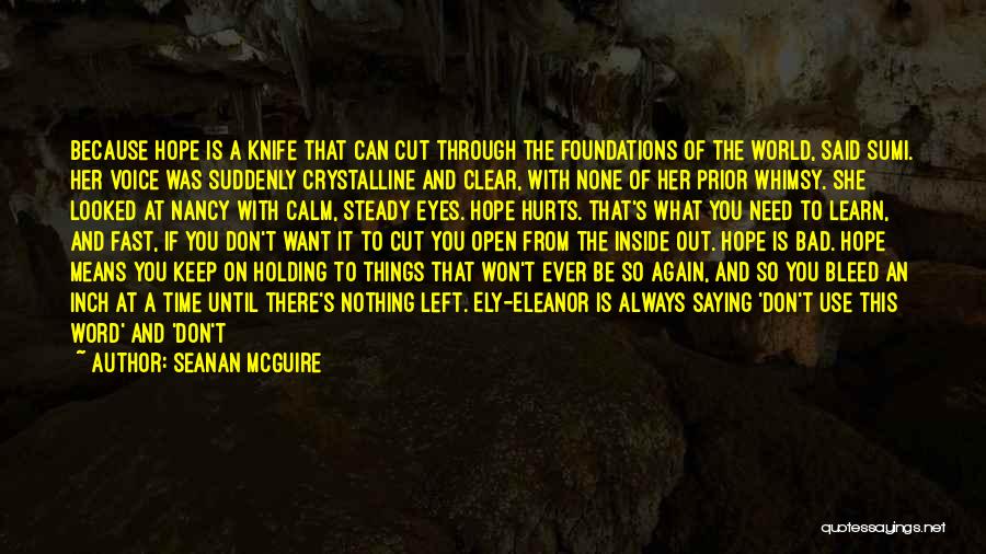 Holding Steady Quotes By Seanan McGuire