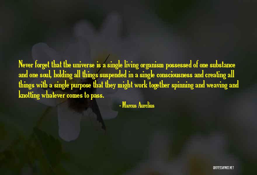 Holding Things Together Quotes By Marcus Aurelius Holding Things Together Quotes By Marcus Aurelius