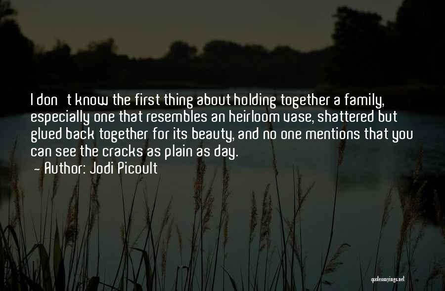 Holding You Back Quotes By Jodi Picoult