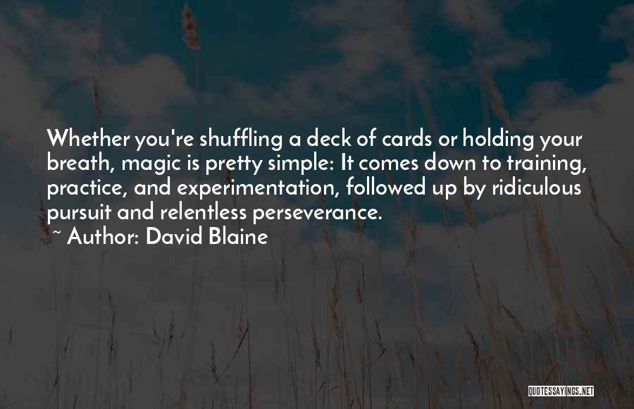 Holding You Down Quotes By David Blaine