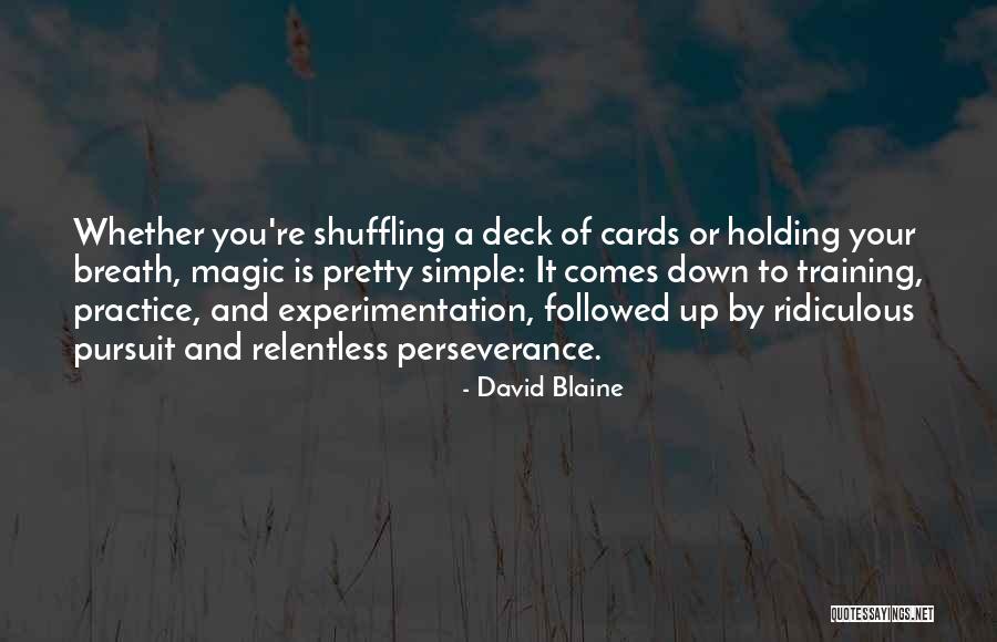 Holding You Down Quotes By David Blaine