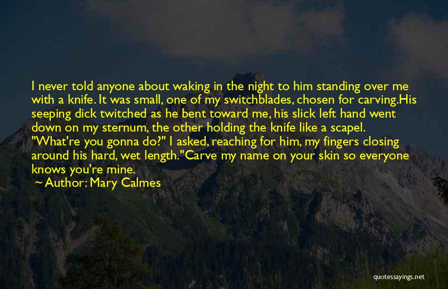 Holding You Down Quotes By Mary Calmes