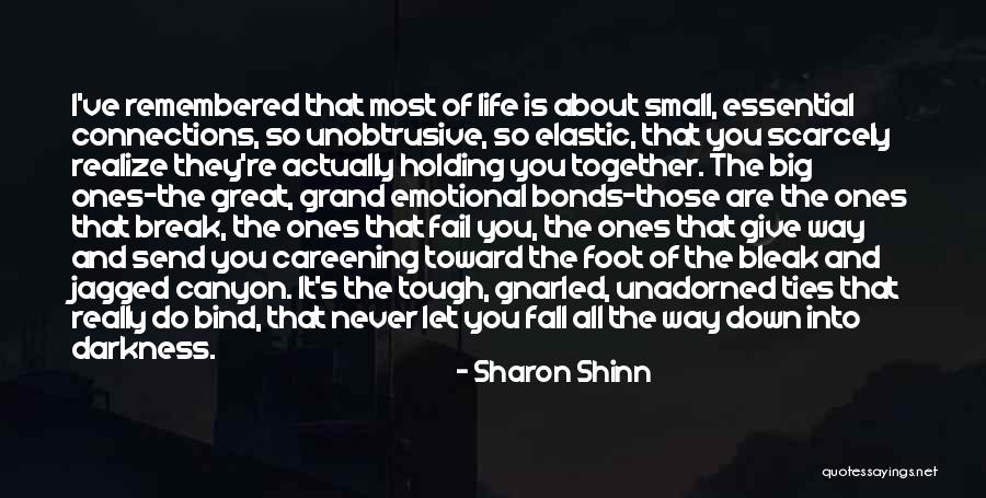 Holding You Down Quotes By Sharon Shinn