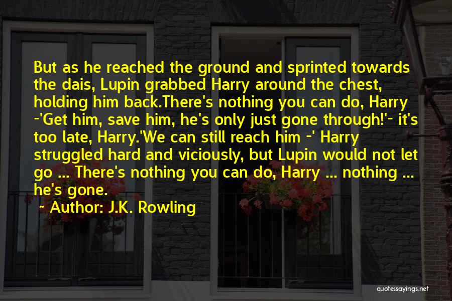 Holding Your Ground Quotes By J.K. Rowling