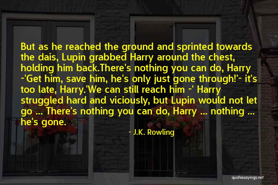 Holding Your Ground Quotes By J.K. Rowling