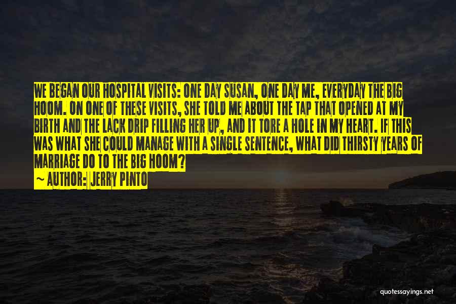 Hole In Heart Quotes By Jerry Pinto