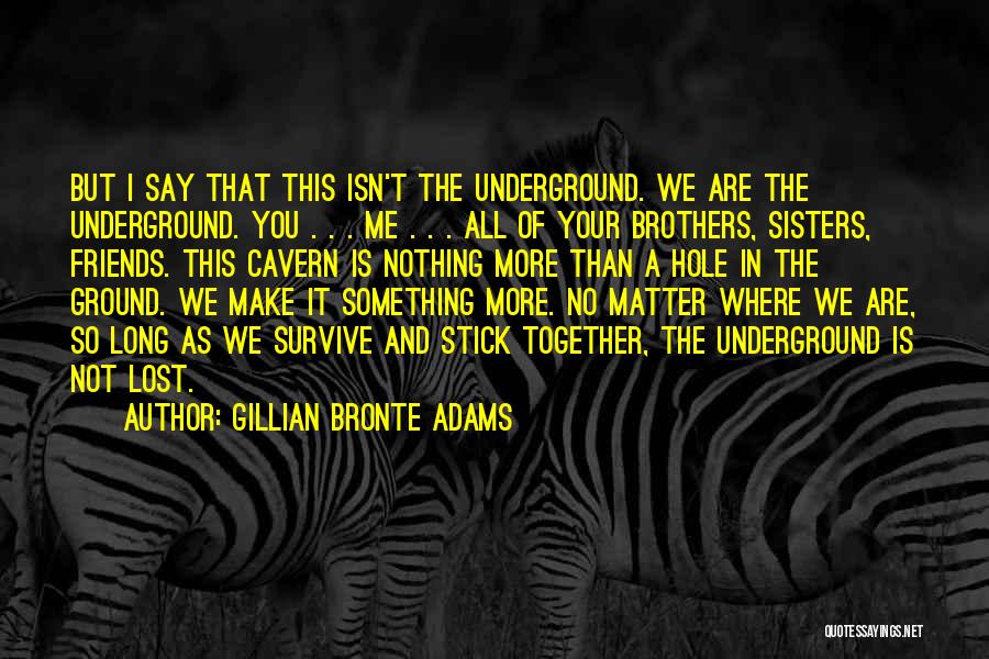 Hole In The Ground Quotes By Gillian Bronte Adams