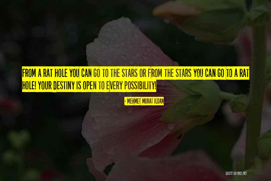 Hole Or Quotes By Mehmet Murat Ildan Hole Or Quotes By Mehmet Murat Ildan
