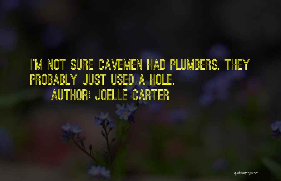 Hole Quotes By Joelle Carter