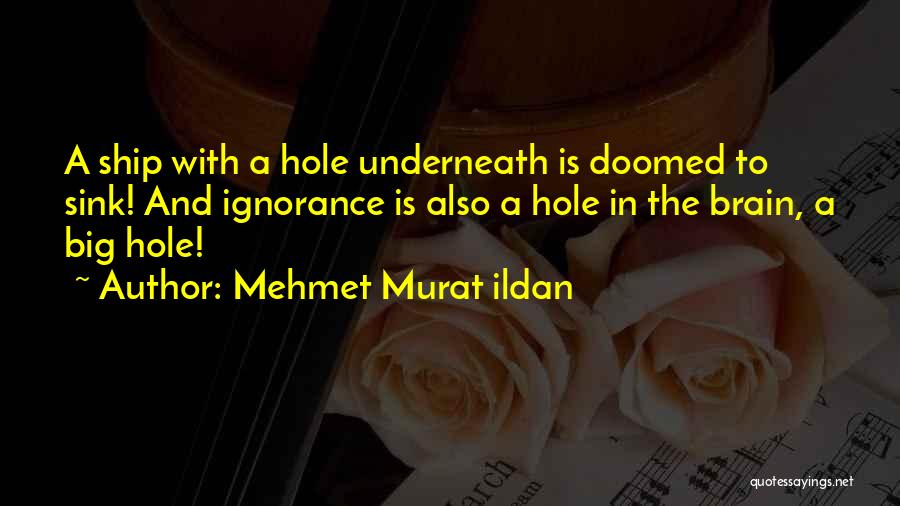 Hole Quotes By Mehmet Murat Ildan