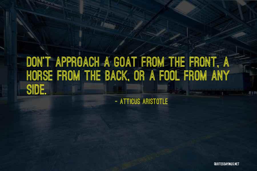 Holekamp Quotes By Atticus Aristotle Holekamp Quotes By Atticus Aristotle