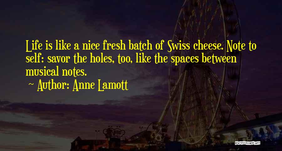 Holes Holes In 3 Quotes By Anne Lamott