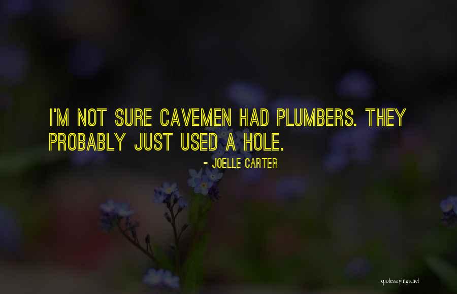 Holes Holes In 3 Quotes By Joelle Carter Holes Holes In 3 Quotes By Joelle Carter