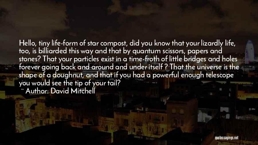 Holes In Life Quotes By David Mitchell